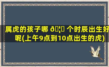 属虎的孩子哪 🦁 个时辰出生好呢(上午9点到10点出生的虎)